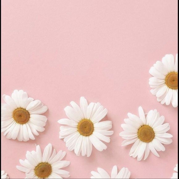 Meet your Posher, Kelly - Picture 1 of 1